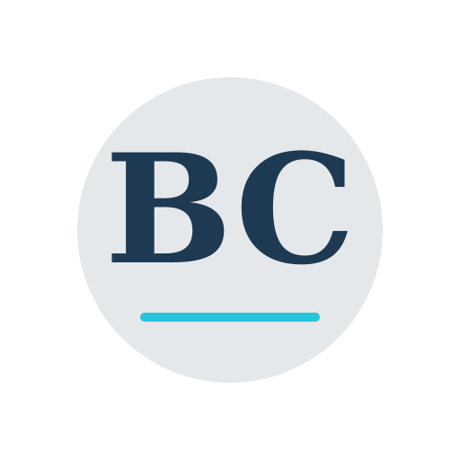 Barrow Chimney Service logo